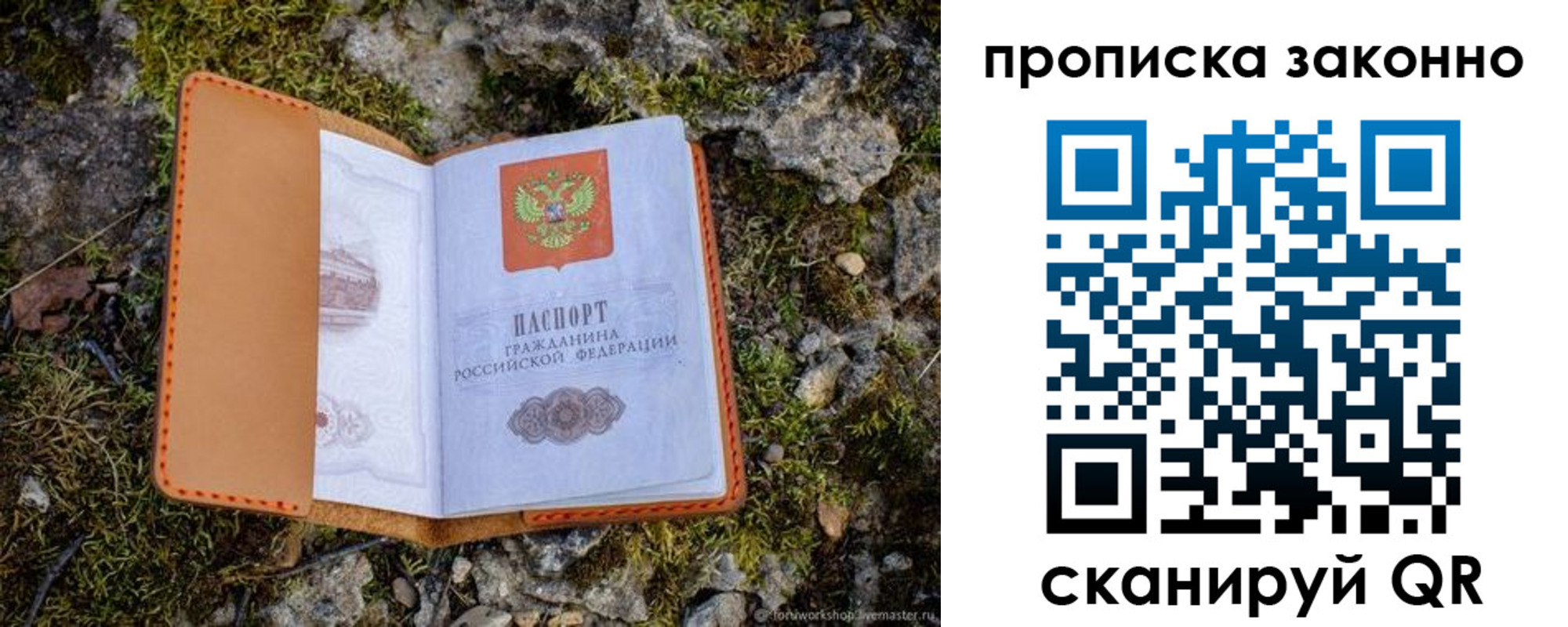 временная регистрация для всех в Курской области