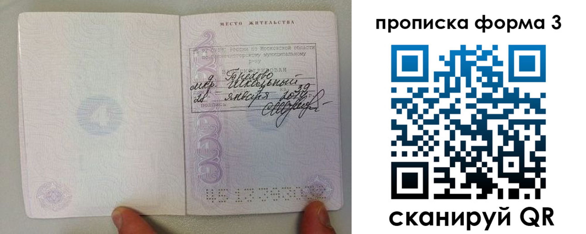 прописка гарантия в Курской области